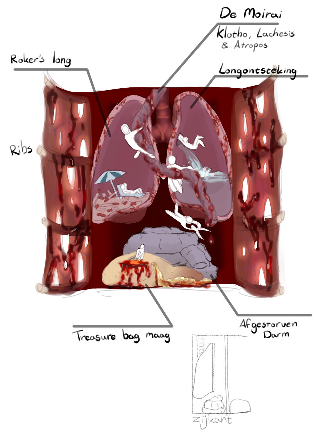 Wunderkammer concept
